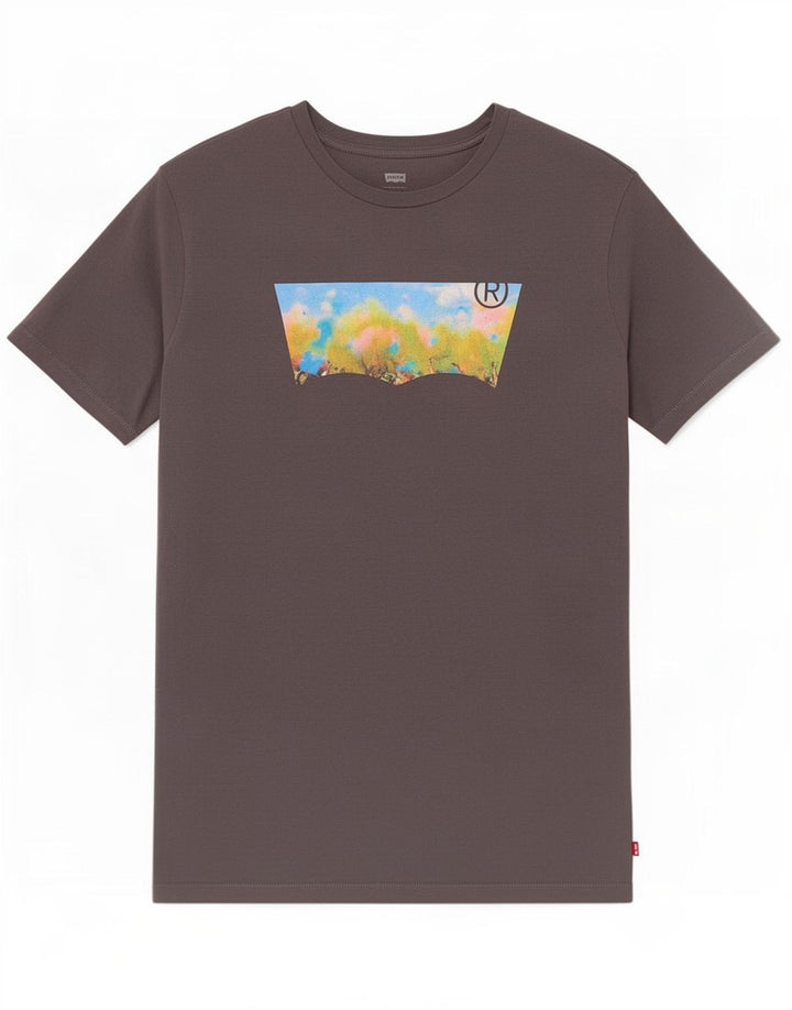 Levi's Herre grafisk T-shirt Top Stor Grå