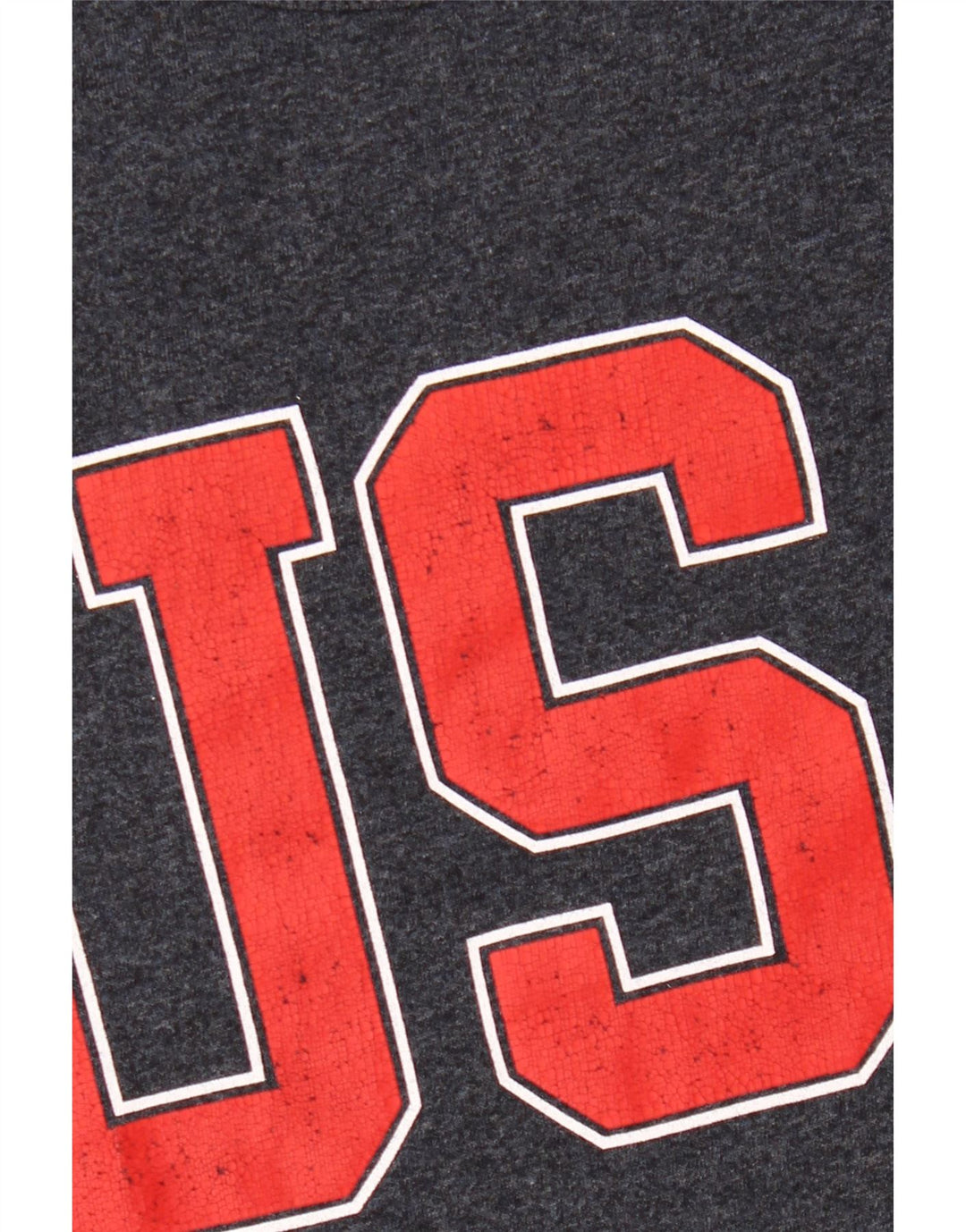 AMERICAN EAGLE Herre Coupe Standard Grafisk T-Shirt Top Medium Navy Blue