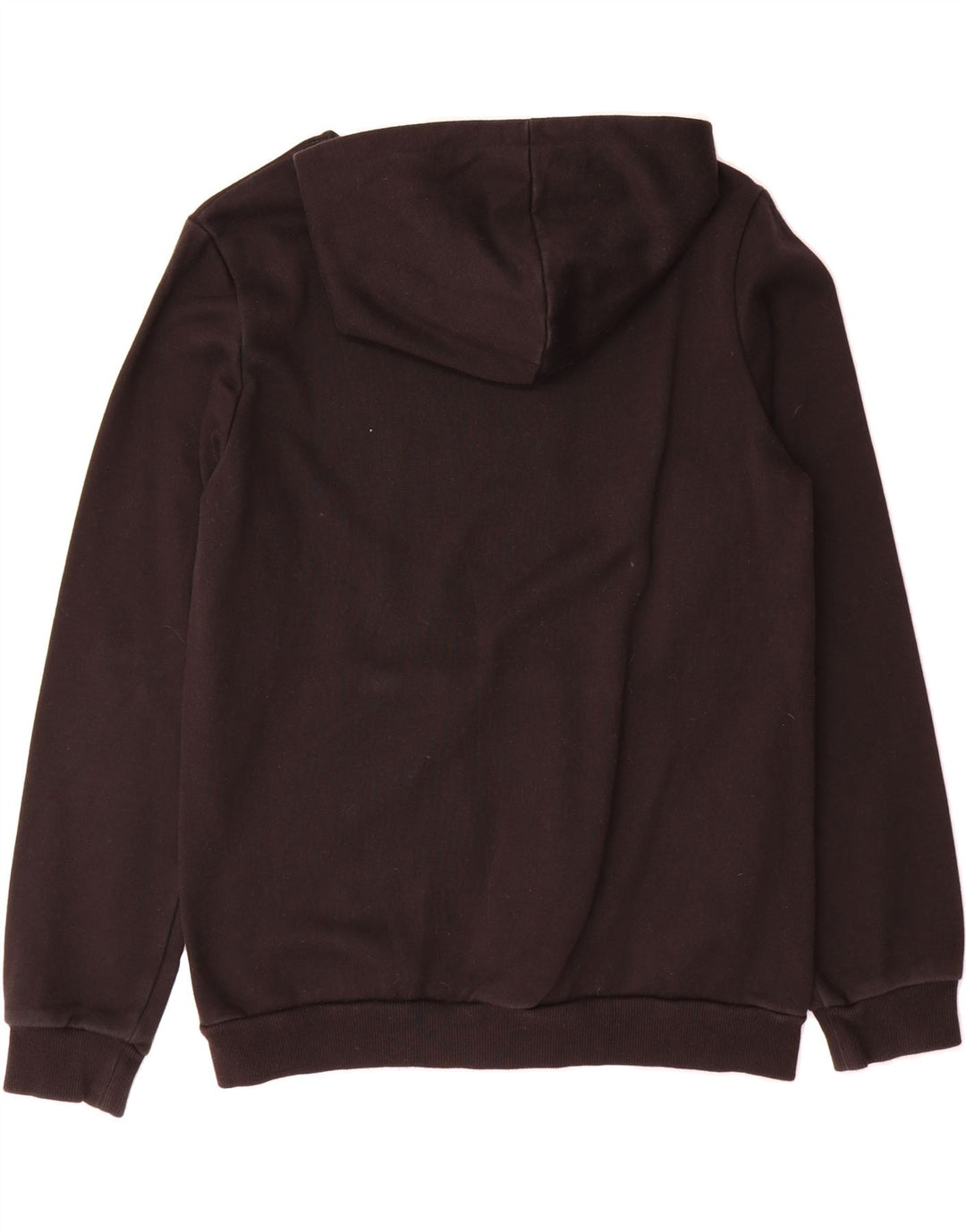 PUMA Boys Graphic Hoodie Jumper 15-16 Years Black Vintage Puma and Second-Hand Puma from Messina Hembry 
