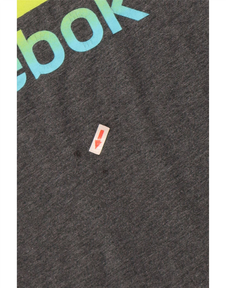 Reebok Herre Grafisk T-Shirt Top Stor Grå Polyester