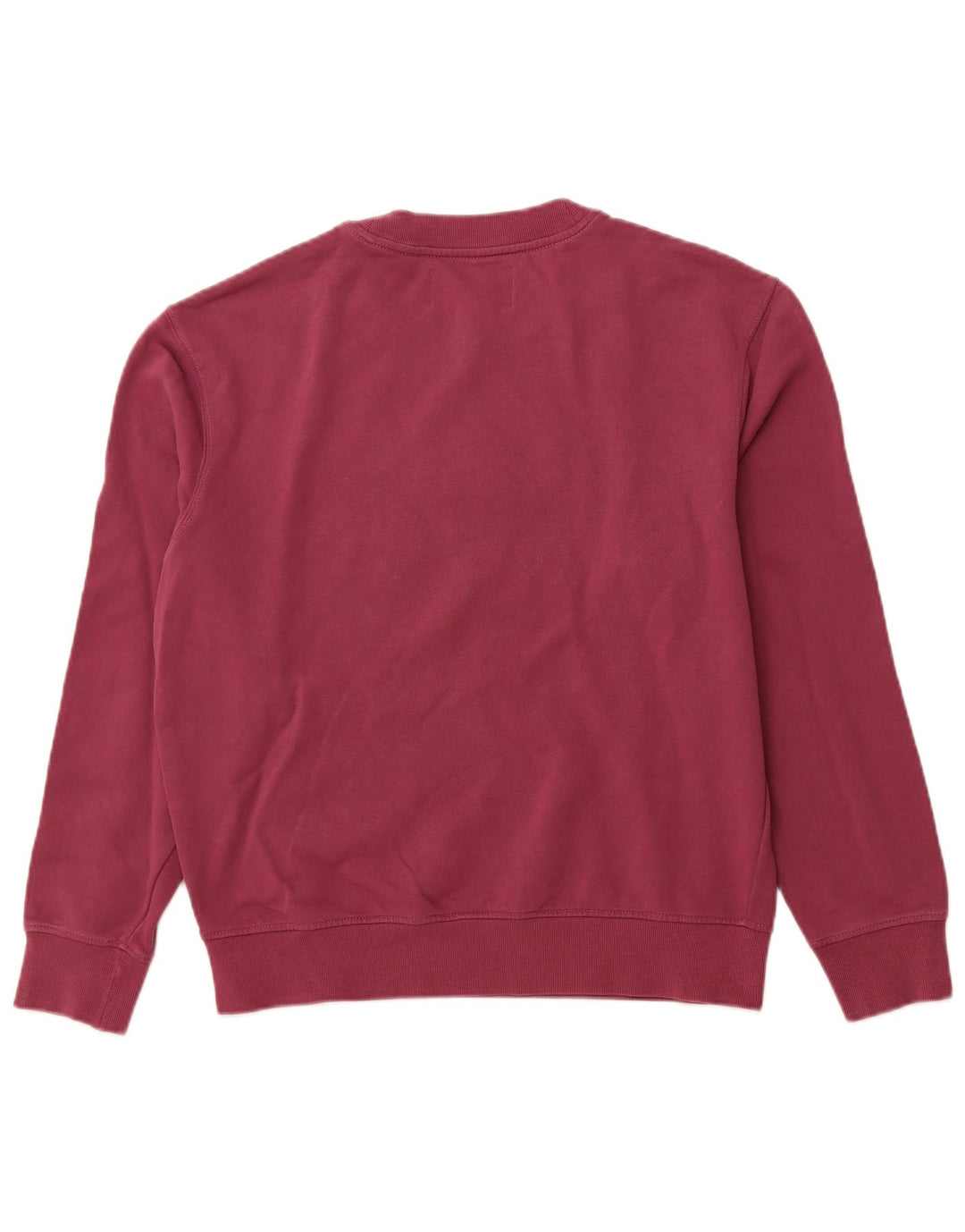 CALVIN KLEIN JEANS Grafisk sweatshirt til mænd Medium Lilla