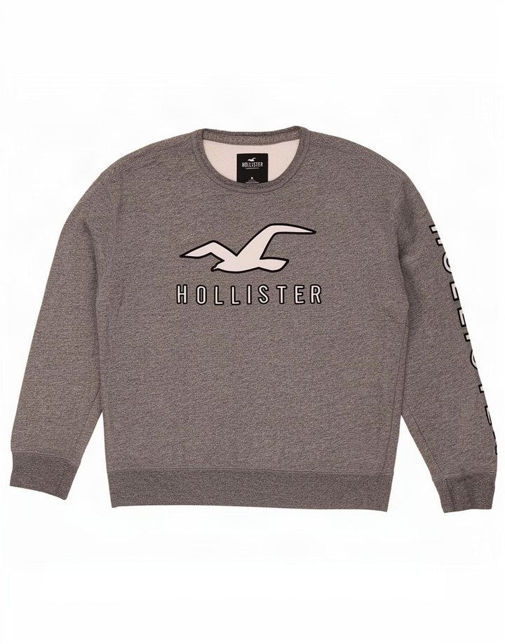 Hollister Herre Grafisk Sweatshirt Jumper XL Grå Bomuld