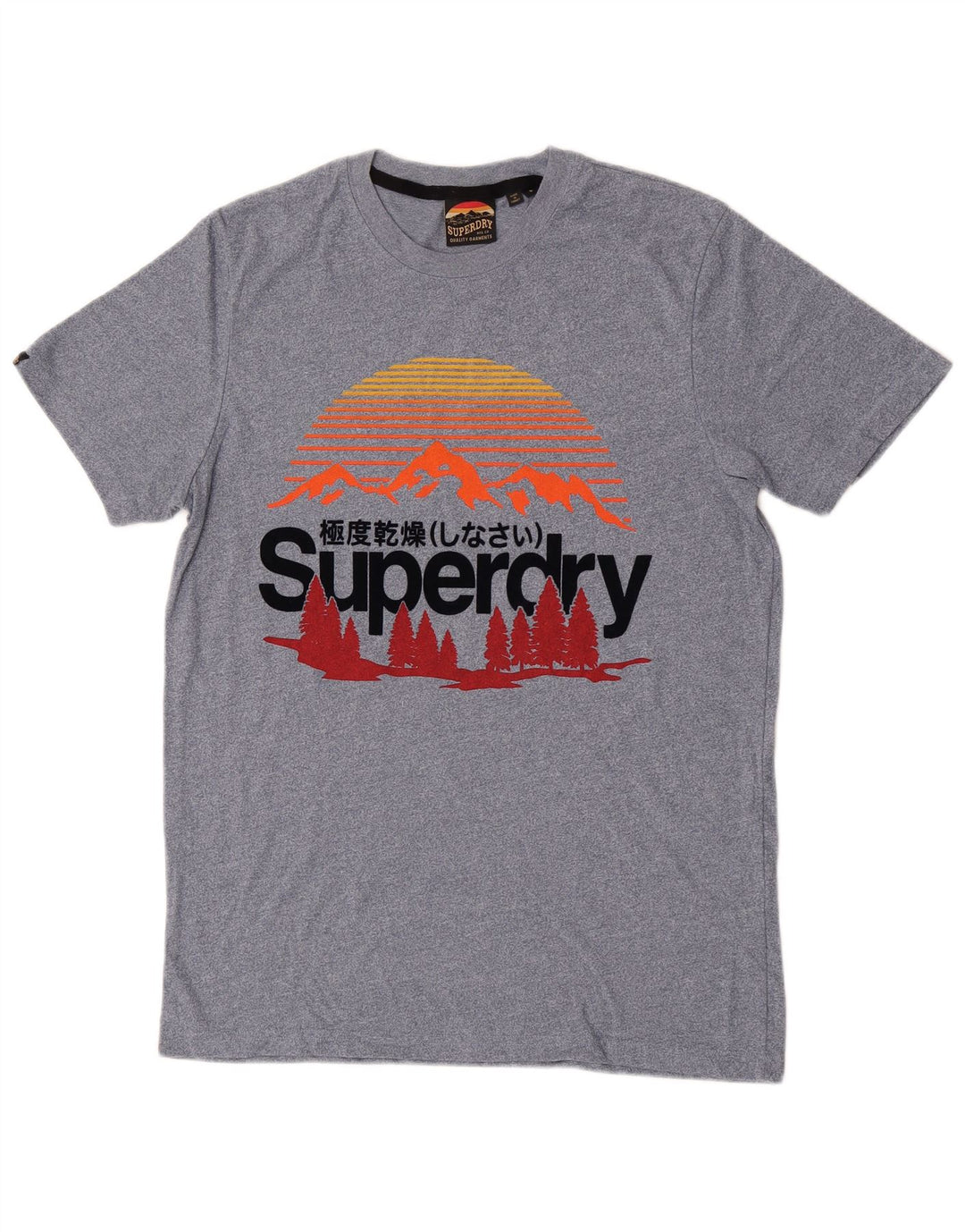 Superdry Grafisk T-shirt top til mænd, lille blå bomuld