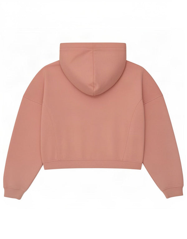 Jack Wills Dame Grafisk Hættetrøje Sweater UK 14 Large Pink Colourblock