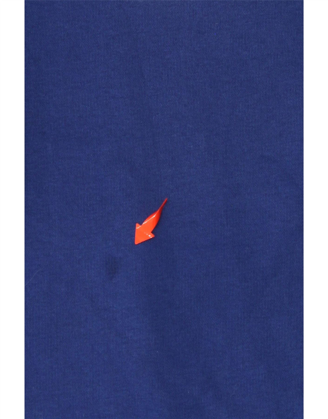 CHAMPION Grafisk sweatshirt til mænd, lille blå bomuld