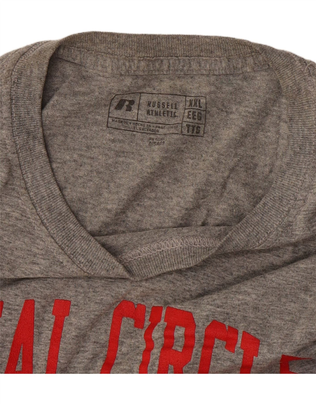 Russell Athletic Herre Grafisk T-Shirt Top 2XL Grå