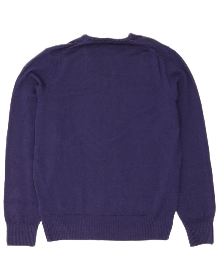 Zara Herre V-hals sweater Medium Lilla Uld