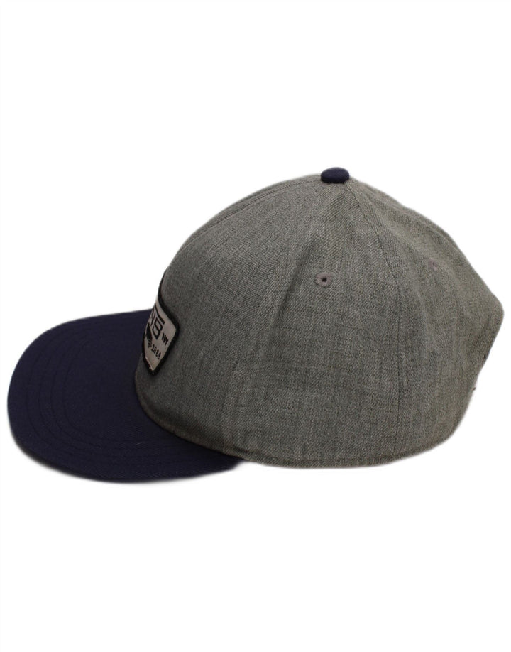 Vans Grafisk baseballkasket til mænd One Size Grå