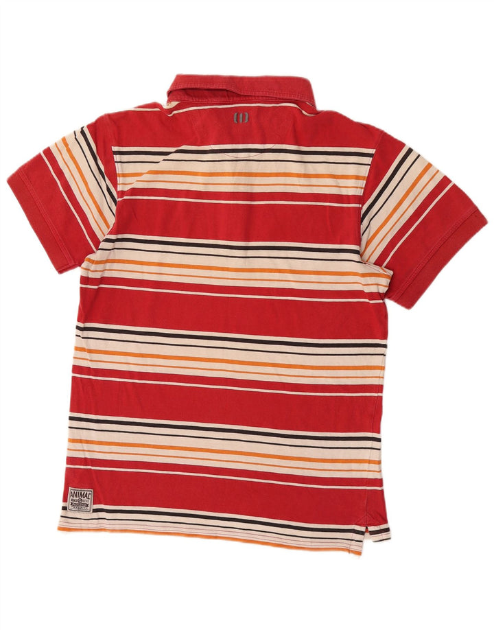 Animal Herre poloshirt Medium rødstribet bomuld
