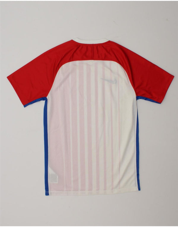 Nike Herre Dri Fit T-shirt Top Lille rødstribet polyester