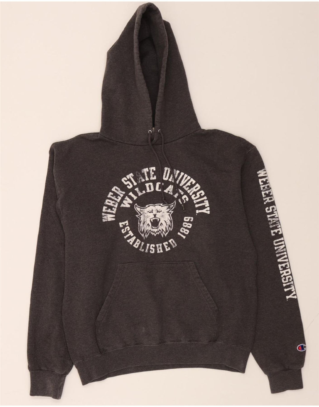 CHAMPION Mens Weber State University Wildcats Hoodie Jumper Medium Grey Vintage Champion and Second-Hand Champion from Messina Hembry 