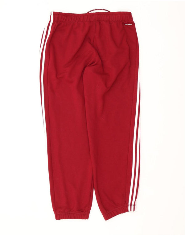 Adidas Træningsdragt til mænd Joggers Large Bourgogne Bomuld