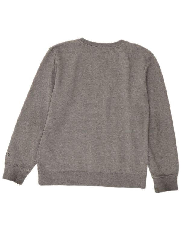 Jordan Boys Grafisk Sweatshirt Jumper 13-14 år XL Grå Bomuld