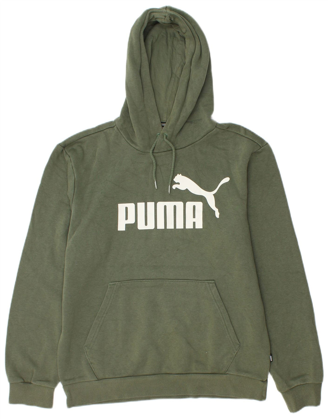 Puma Grafisk hættetrøje til mænd, lille grøn bomuld
