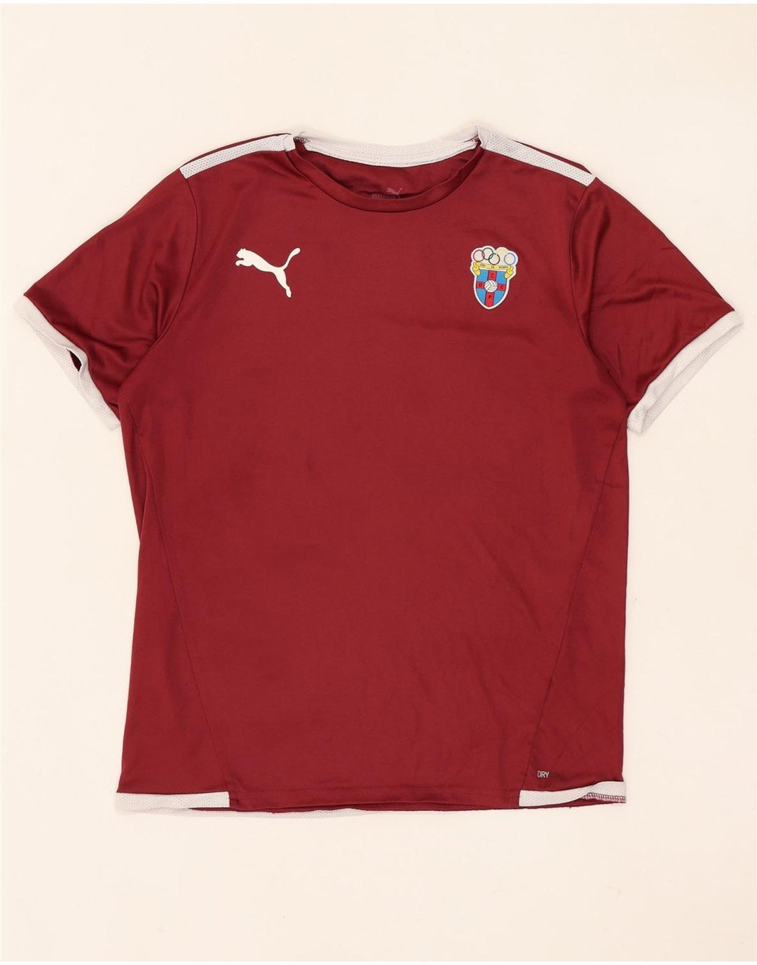 Puma drenge grafisk t-shirt top 13-14 år rødbrun
