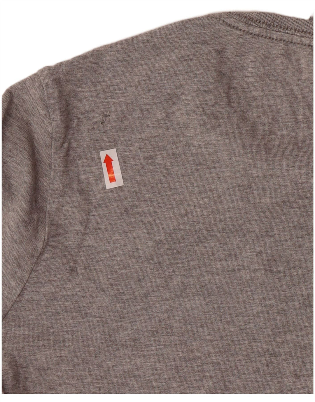 CHAMPION Womens Heritage Classics Top Langærmet UK 10 Small Grå