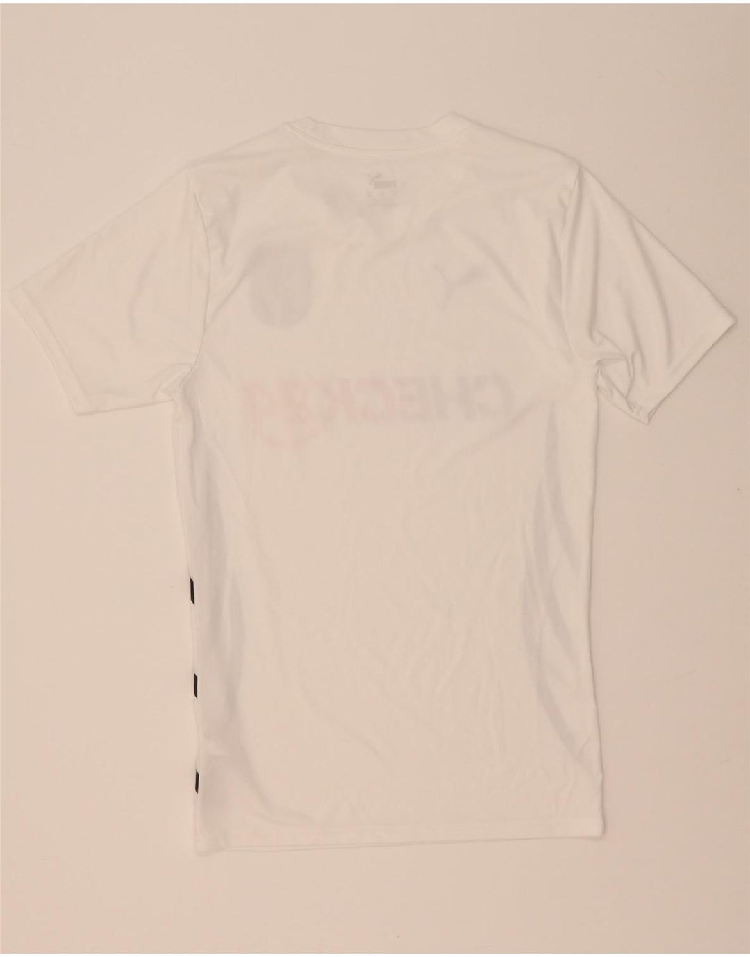 Puma Herre Deutshland Grafisk T-Shirt Top XS Hvid Polyester