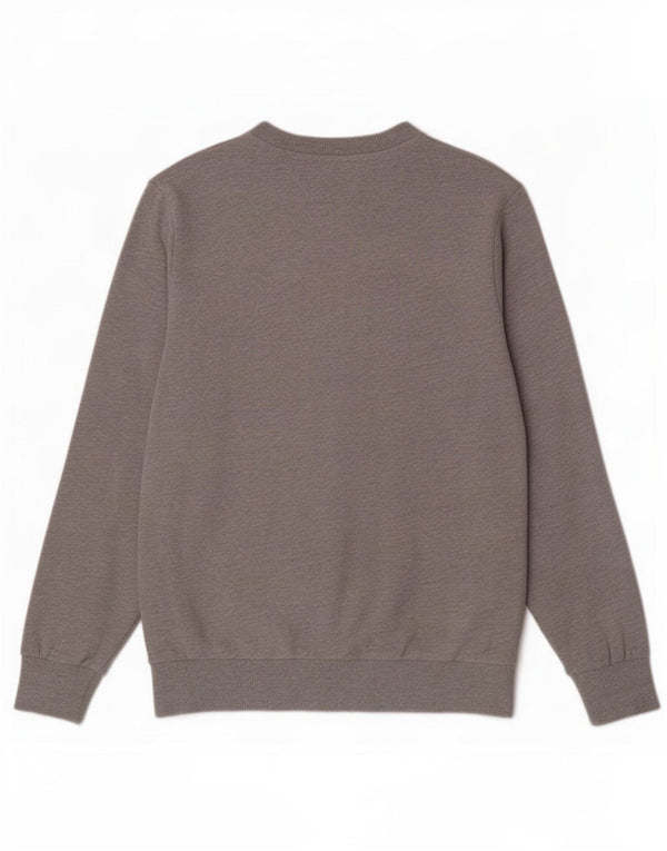 Jack & Jones Herre sweatshirt Jumper Medium Grå Bomuld