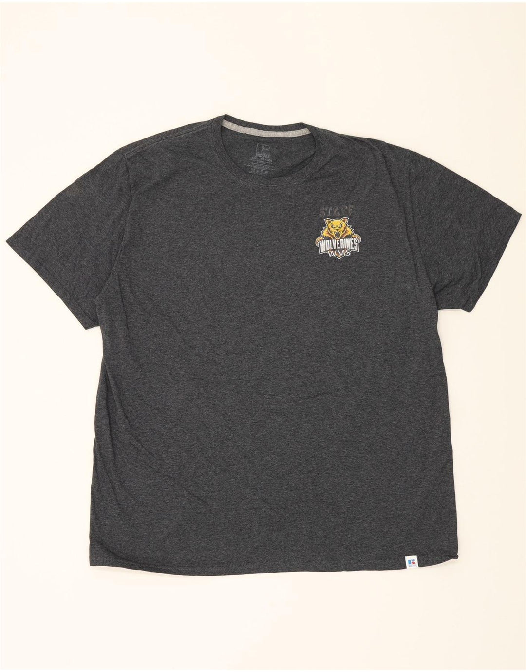 RUSSELL ATHLETIC Mens T-Shirt Top 2XL Grey Cotton Vintage Russell Athletic and Second-Hand Russell Athletic from Messina Hembry 