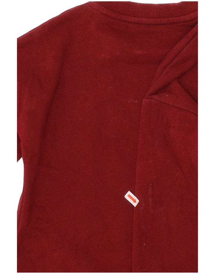 FERRARI Boys Sweatshirt Jumper 5-6 år Bourgogne bomuld