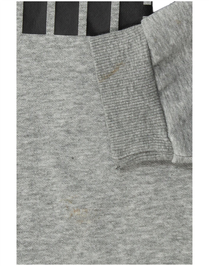 Puma Boys Grafisk Sweatshirt Jumper 15-16 år Grå Flecked