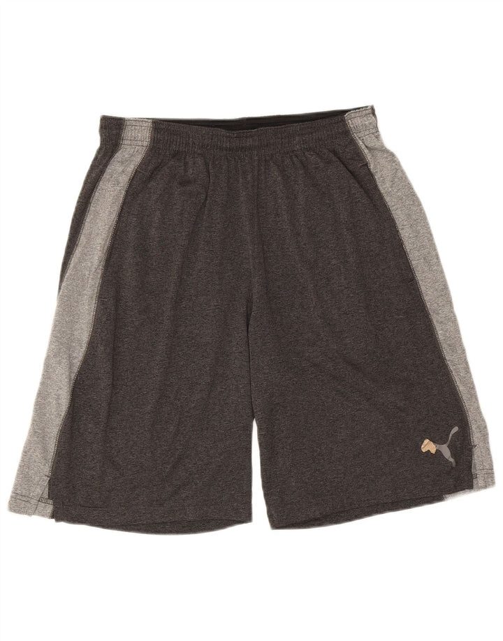 PUMA Sportshorts til mænd mellemgrå farveblok