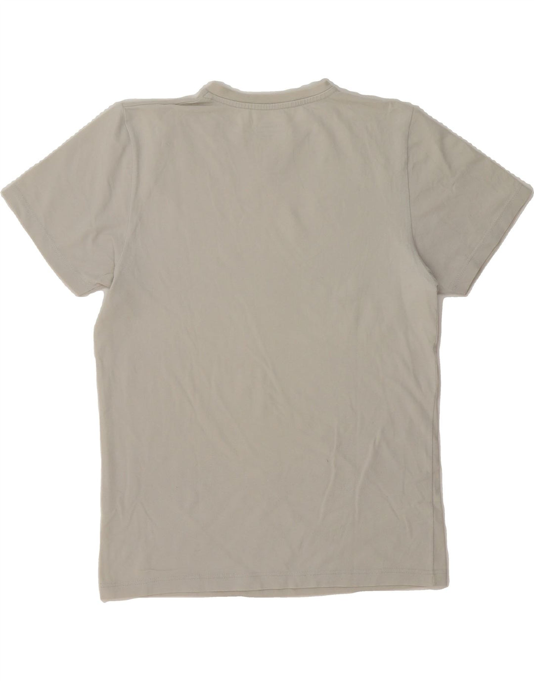 CHAMPION Mens T-Shirt Top Medium Grey Vintage Champion and Second-Hand Champion from Messina Hembry 
