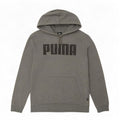 Puma Grafisk hættetrøje til mænd, lille grå