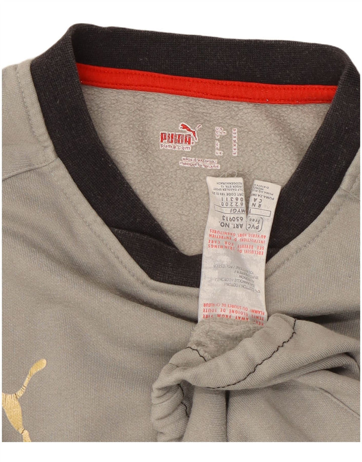 Puma Herre sweatshirt Jumper Medium Grå Colourblock Bomuld