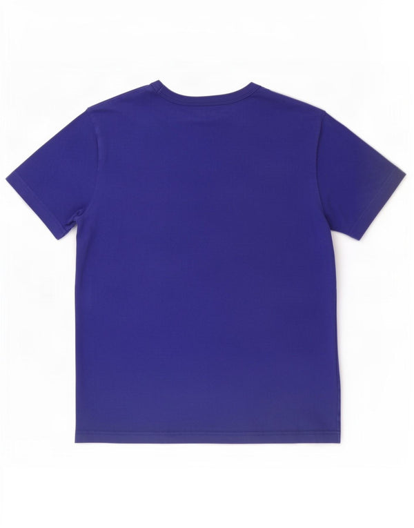 Champion Mens Graphic T-Shirt Top Small Blue Cotton