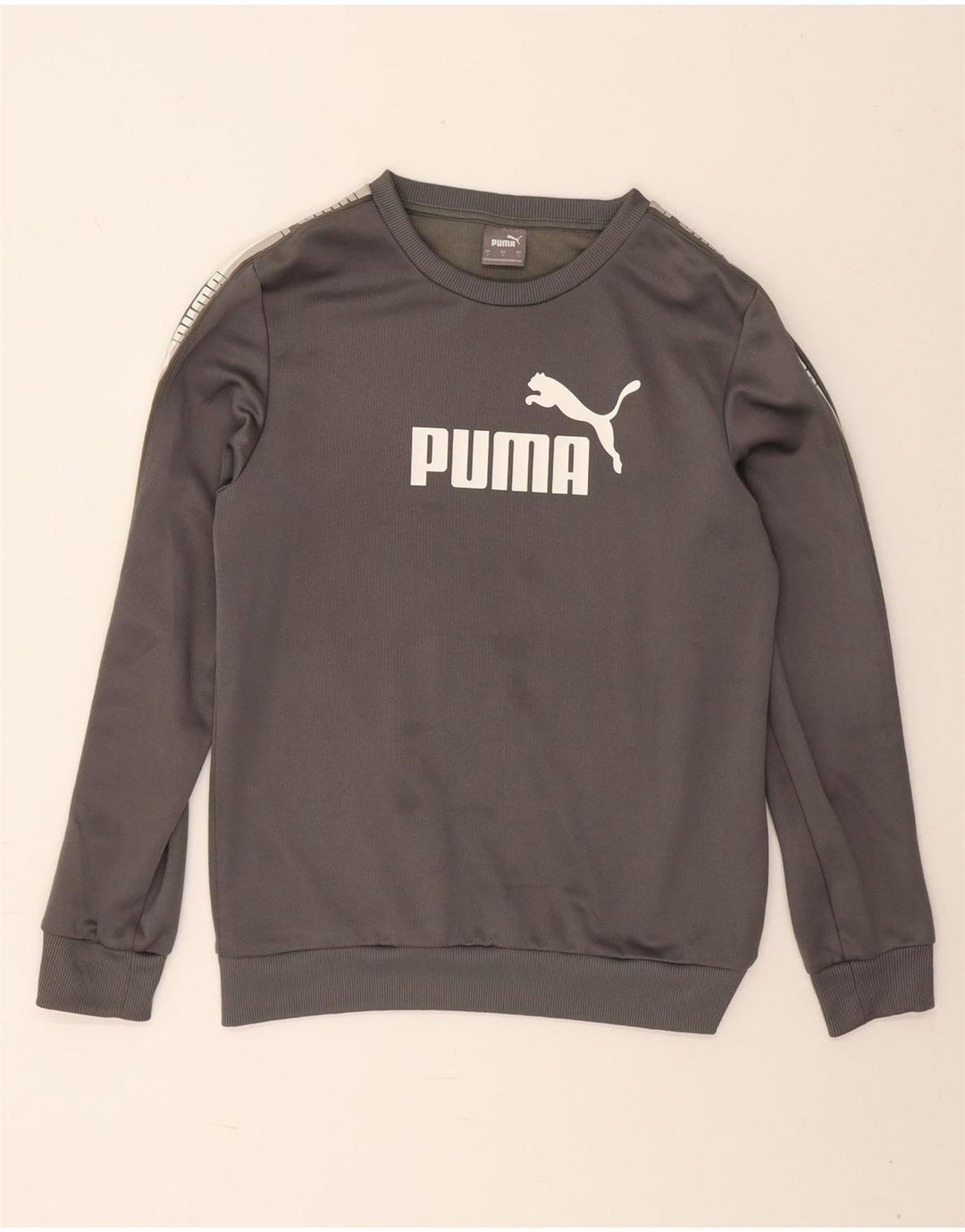 Puma Herre Grafisk Sweatshirt Jumper Lille Grå Polyester