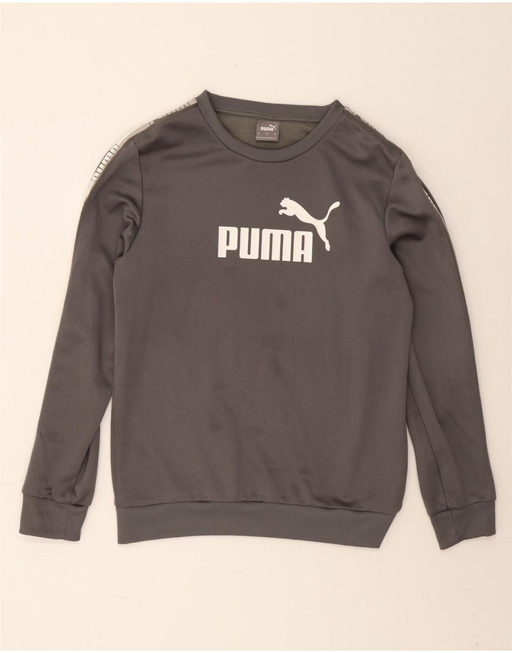 Puma Herre Grafisk Sweatshirt Jumper Lille Grå Polyester