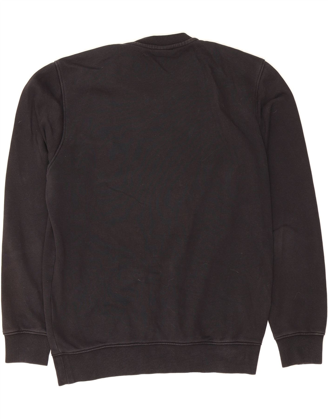 CHAMPION Mens Graphic Sweatshirt Jumper Medium Black Cotton Vintage Champion and Second-Hand Champion from Messina Hembry 