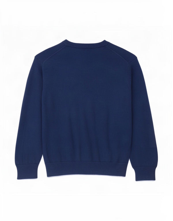 Gant Boys V-hals sweater 7-8 år Blå Bomuld
