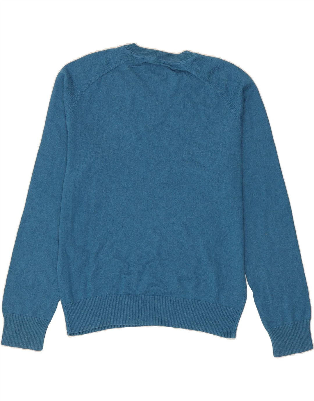 PENGUIN Mens V-Neck Jumper Sweater Large Blue Cotton Vintage Penguin and Second-Hand Penguin from Messina Hembry 