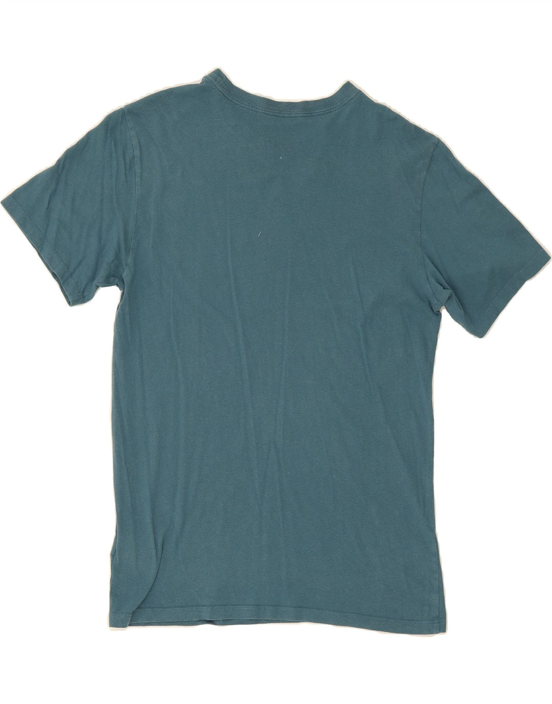 THE NORTH FACE Mens Graphic T-Shirt Top Small Blue Cotton Vintage The North Face and Second-Hand The North Face from Messina Hembry 