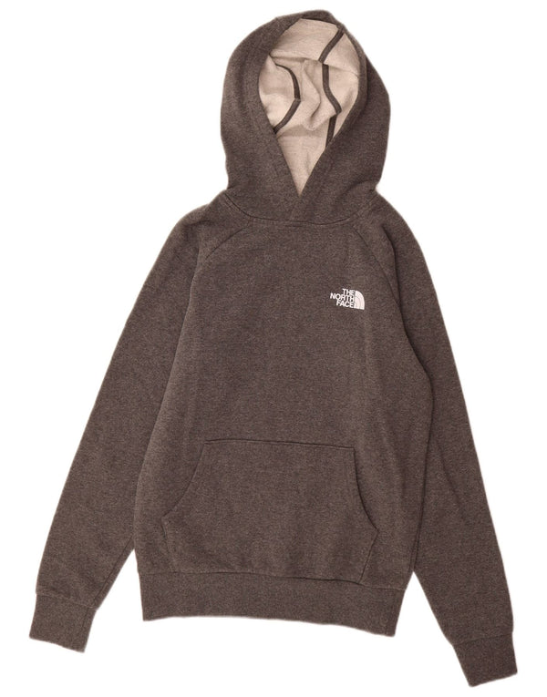 The North Face Herre Grafisk Hoodie Jumper XS Grå Bomuld