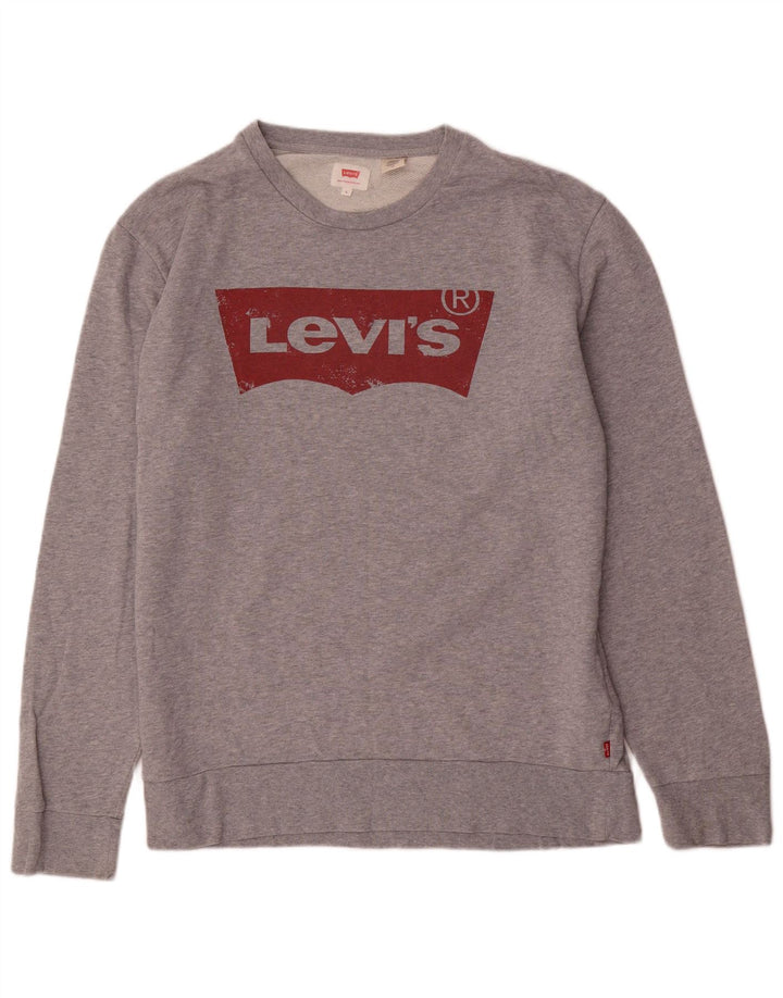 Levi's Herre Graphic Sweatshirt Trøje Large Grå Stribet Bomuld