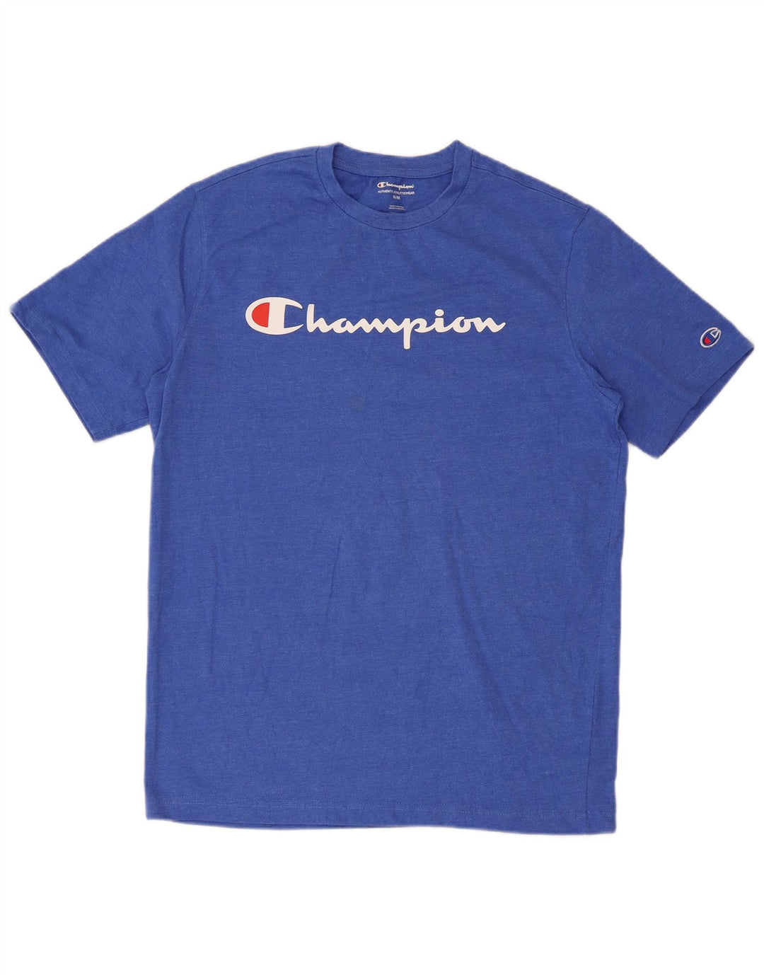 Champion Herre Regular Graphic T-Shirt Top Medium Blue