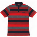 Pierre Cardin Herre Regular Fit Polo Shirt Medium Flerfarvet Stribet
