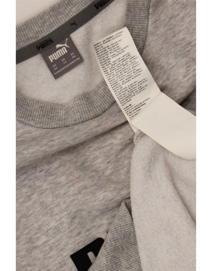 Puma Herre Grafisk Sweatshirt Jumper XS Grå Bomuld
