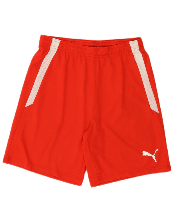 Puma Herre Sportshorts Medium Rød Colourblock Polyester