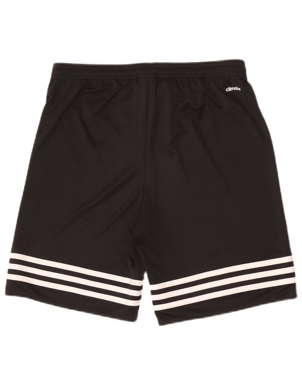 Adidas Boys Climalite Sportshorts 13-14 år XL Sort Polyester