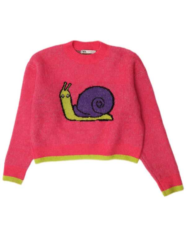 Zara Womens Crop Graphic Crew Neck Jumper Sweater UK 10 Small Pink