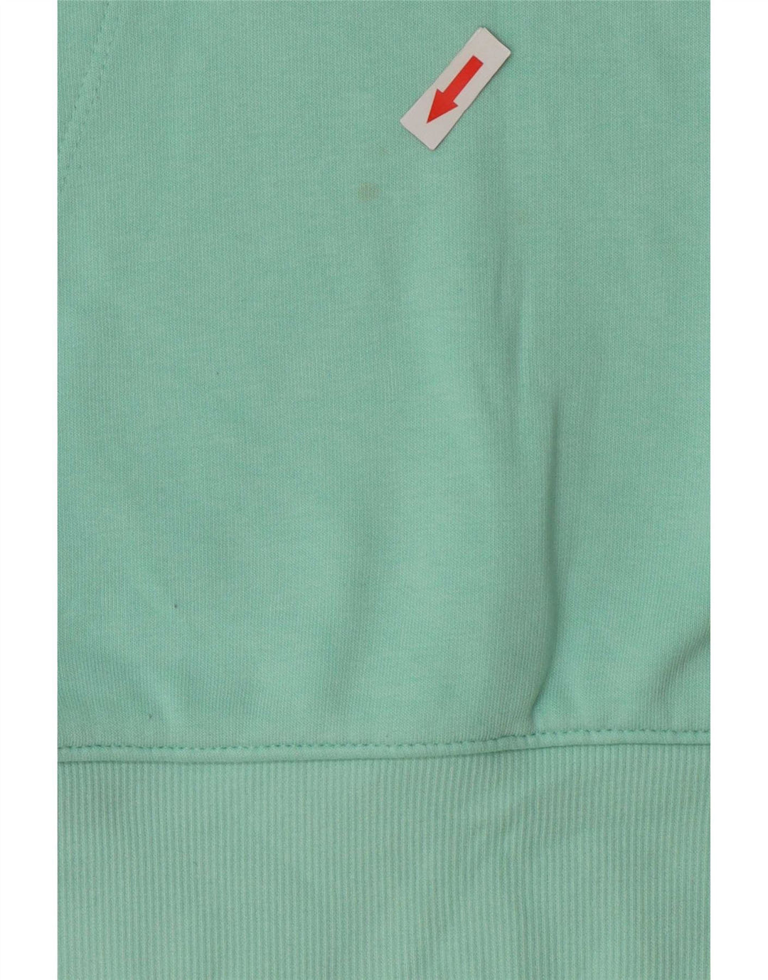 Champion Dame Hættetrøje Jumper UK 10 Small Turkis