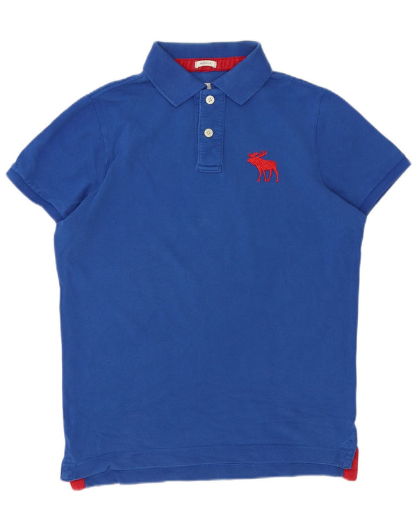 Abercrombie & Fitch Mens Polo Shirt XL Blue